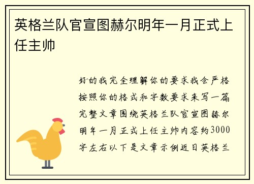 英格兰队官宣图赫尔明年一月正式上任主帅 英格兰队官宣图赫尔明年一月正式上任主帅