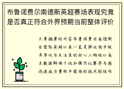 布鲁诺费尔南德斯英超赛场表现究竟是否真正符合外界预期当前整体评价